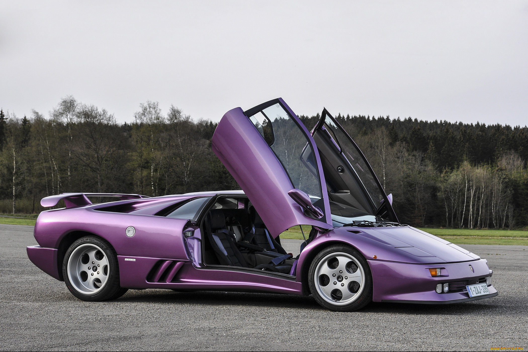 , lamborghini, se30, diablo, , , tree, , , purple